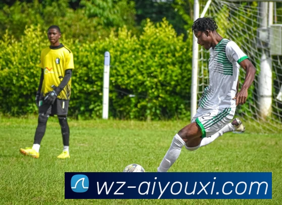 爱游戏服务体系